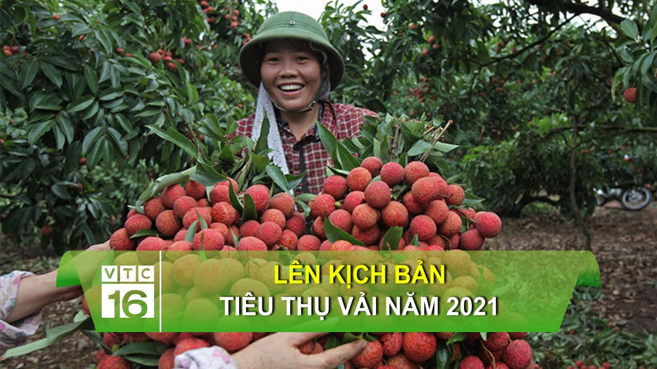 Cách Khởi Nghiệp Kiếm Tiền Bán Thời Gian Dành Cho Người Mới_dịch vụ hậu kỳ video