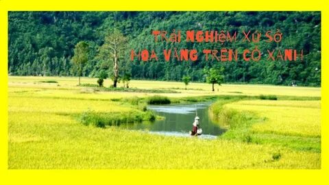Top 10 trường tỷ lệ 'chọi' vào lớp 10 cao nhất TP.HCM 2025_Phần mềm biên tập video chuyên nghiệp